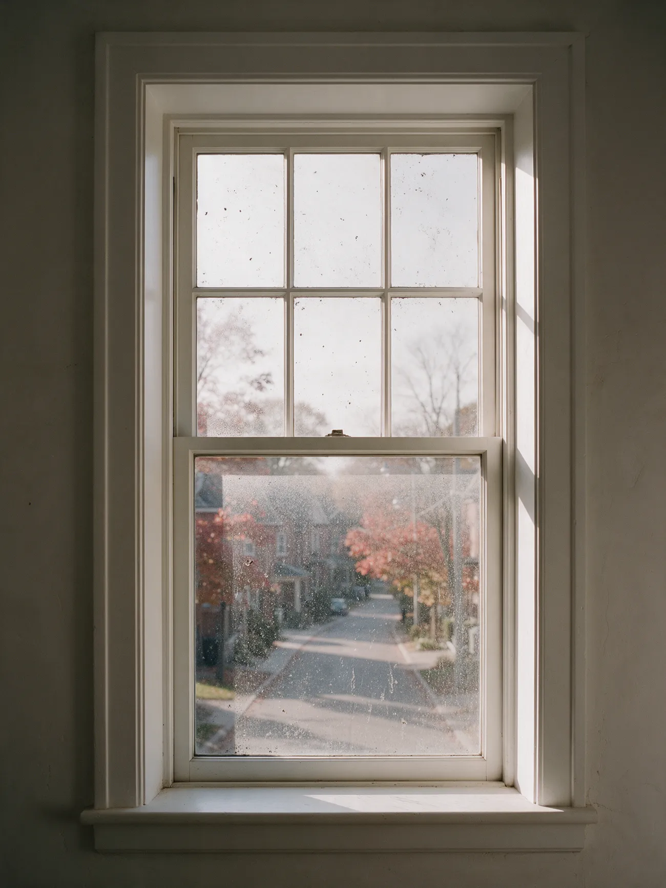 A tall six-over-one window looking out on a tree-lined Toronto street in autumn, wiped clean as you scroll.